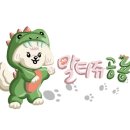 댕댕미용 이미지