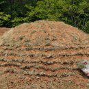 통영양지펜션 이미지