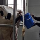 대로2목장 이미지