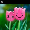 세명체육관 이미지