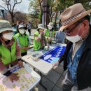 (사)태백생명의숲 이미지