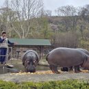 식물원 옆 동물원 이미지