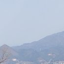 (주)단디라이프