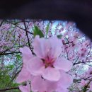 오포1동-4 이미지