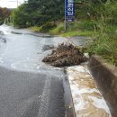 영천댐관광농원 이미지