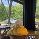 망고숲 | 망고러버의 과일의숲 망고빙수 재재재재방문 후기₊˚.⋆♡ (소금빵,츄러스,로제 떡볶이)