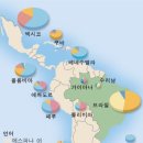 남미농장 이미지