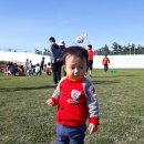 망상초등학교 이미지