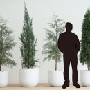 블루아이스식당 이미지