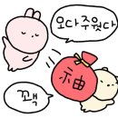 구두종합병원 | [취준일기] 2026 가천대길병원 신규간호사(졸업예정자) 상급종합병원 최종합격 후기୧(•̀ө•́)୨
