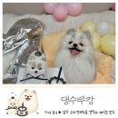 댕수무강