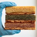 조아 주식회사 이미지