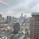 명일약국 | OFF TO SHANGHAI (2) : 상하이는 좋겠다. 디즈니랜드있어서 (feat. 푸주 차원이 달라병 걸림)