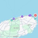 해맞이식품 | 5월 제주도 여행 3탄 | 동문시장 오메기떡 맛집 비교 & 제주 동쪽 코스 마무리 ✨