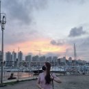 해동펫