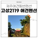 고성2119 | 제주 애견 동반 펜션인 성산 숙소 고성 2119