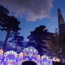 석촌호수 루미나리에(빛축제) 인생샷 성지 5곳 대공개! 이미지