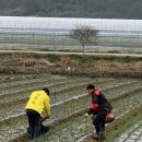 감내경로당 이미지