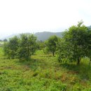 블루썬온천사우나 이미지