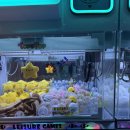 뽀끼랜드 이미지