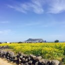 라움아동발달연구소 네이버블로그