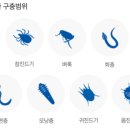 하나동물약국 이미지