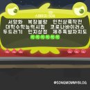 선관위 소나무 이미지