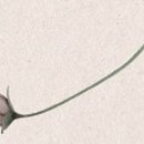 동서양의 명저 읽기 이미지