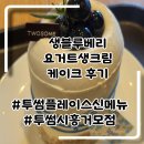 동운디오빌 | 투썸신메뉴 생블루베리 요거트생크림케이크 내돈내산 후기