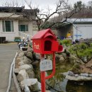 성골 농원 이미지