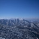 명당자리 Daum카페