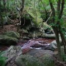 안성리-11 이미지