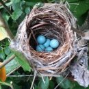 만리포헛개나무농장 이미지