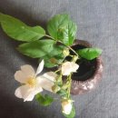 김내과의원 이미지