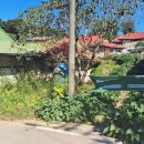 명신초교 이미지