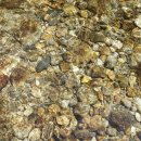 산에언덕에펜션 이미지