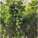 화산 공인중개사사무소 이미지