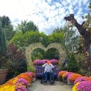 어울림장애인주간보호센터 이미지