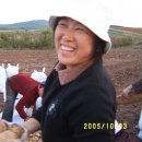 용정농장 이미지