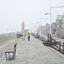 배곧한울공원 이미지
