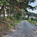 성해2리마을회관 이미지