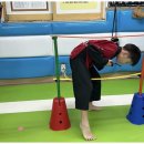 한일태권도 이미지