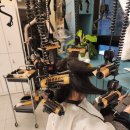 프리마헤어 이미지