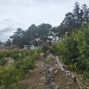 남서마을회관 이미지