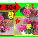 광창공인중개사사무소 이미지