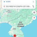 차이나는세계사 이미지