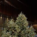 JW메리어트호텔서울 | JW 메리어트 호텔 서울 이그제큐티브룸 후기