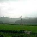 안광여인숙 Daum카페