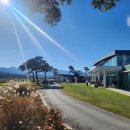 어울림협동조합 | 서울 강남 우등버스대절 어울림관광협동조합 후기