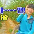 농부왕 네이버블로그